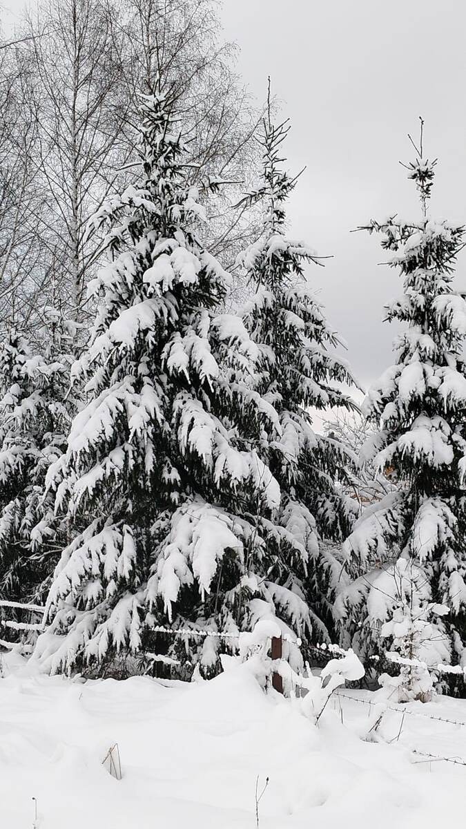 фото Наталии Касьяновой