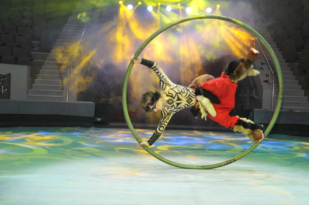 Фото Росгосцирка