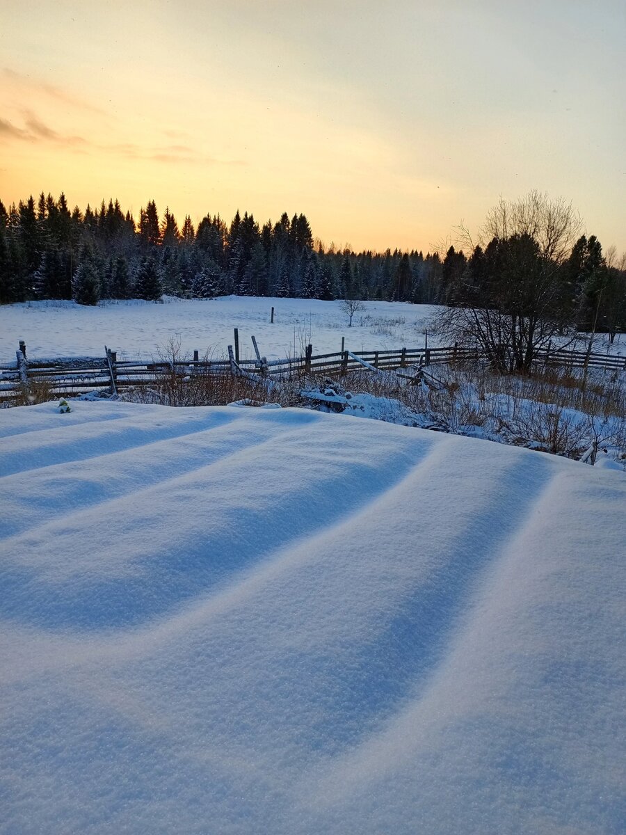 Зима на моей Родине. Декабрь 2024 
