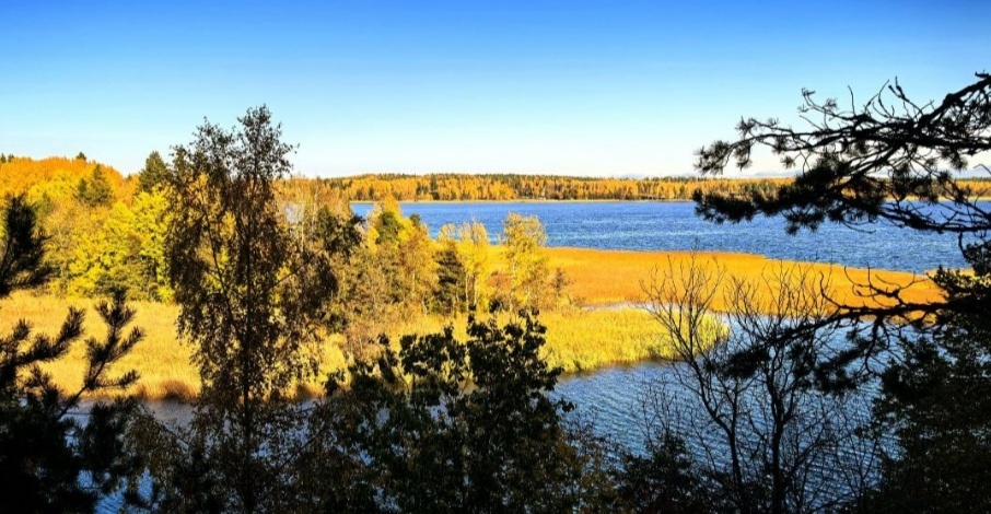 Автор этой фотографии моя племянница Люся. Больше фото можно посмотреть в телеграмм канале "Мир, который вижу я" 