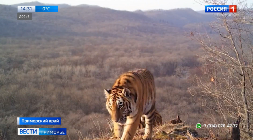    Источник фото: