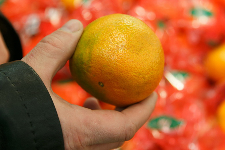    Фото из архива VN.ru