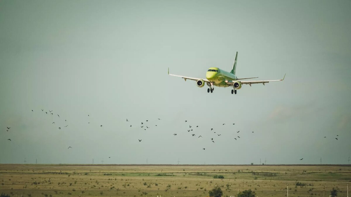     Источник: 1MI