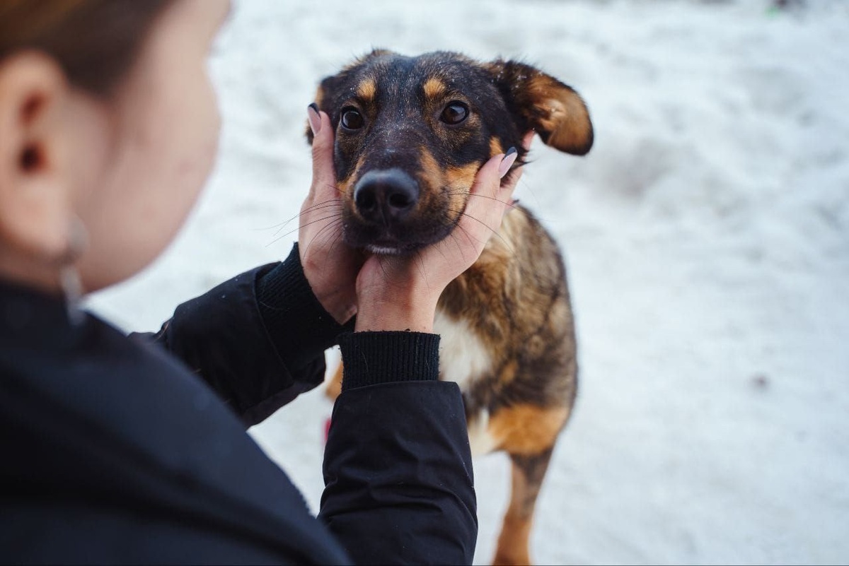 Собачка оказалась очень доброй и ласковой!