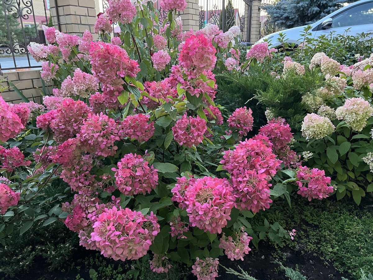 Фото из личного архива