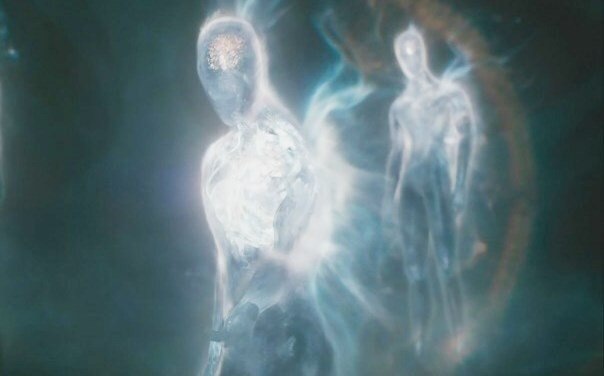 Из открытых интернет источников 