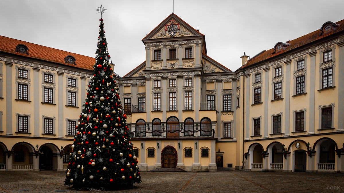 Фото: GORK | Гео: Несвиж, BY
