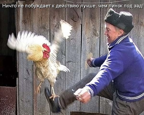 Как же мне понравилось это фото из интернета! Прям в точку