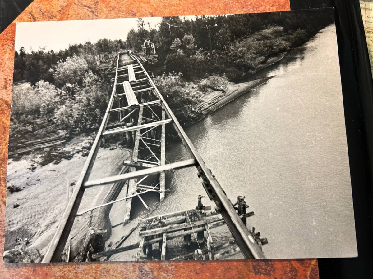 "Мёртвая" дорога. Фото предоставлено автором
