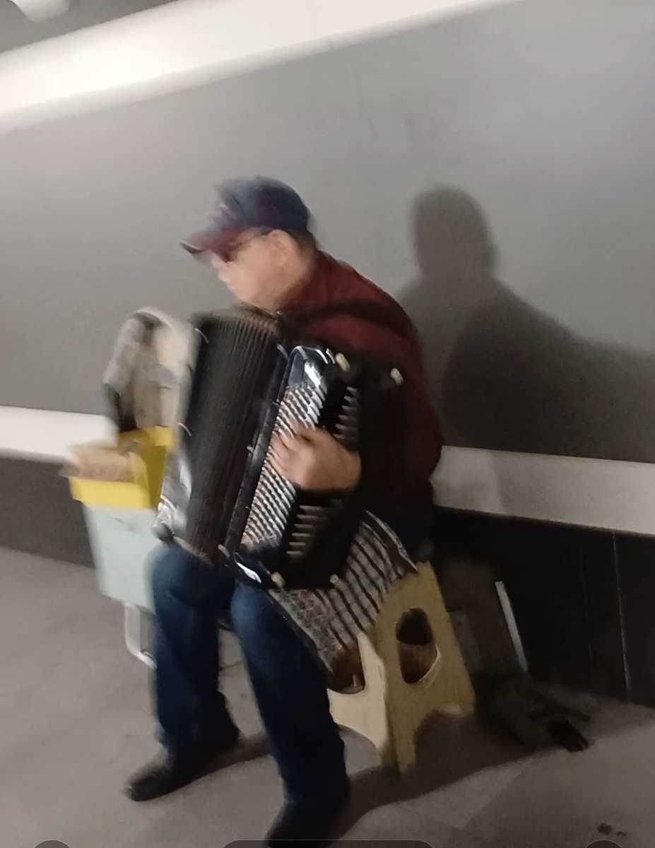 Фото автора. Пенсионер играет на гармошке не от хорошей жизни