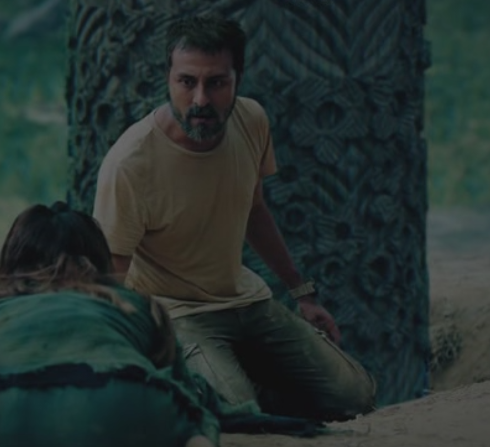 кадр из фильма здесь хорошо виден размер этого бревна