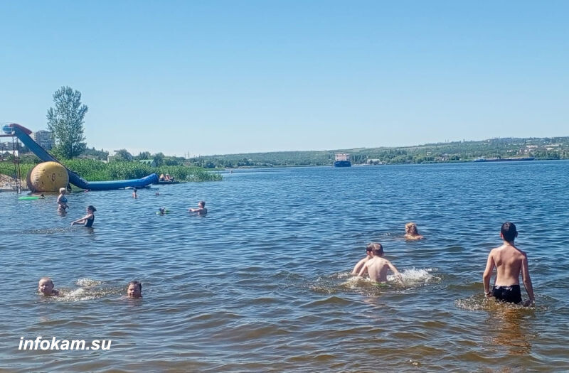    На Камышинке-реке