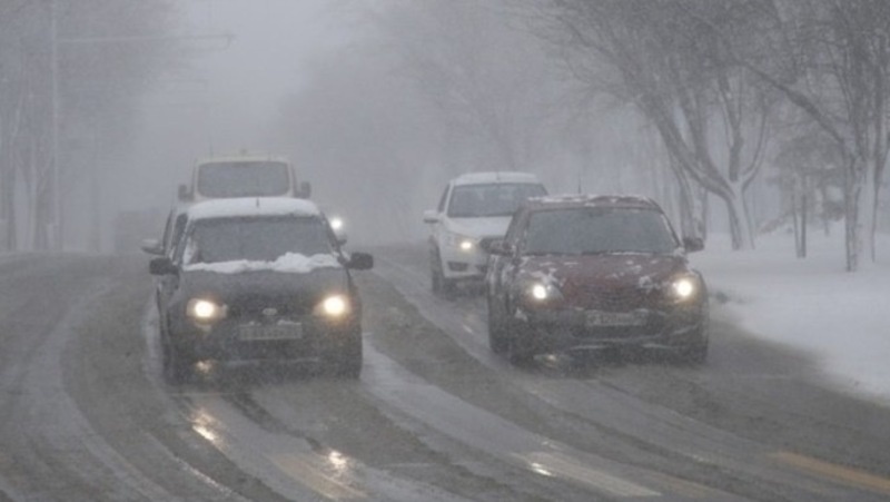      Фото: ИА «Победа26»