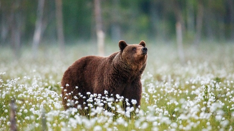 Фото: @gudkov / freepik.com
