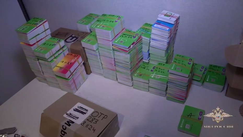    Автор фото: скриншот видео МВД РФ