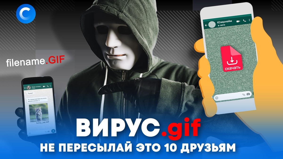    Гифки (.gif) взламывают телефоны: как открытки WhatsApp могут оставить вас без денег
