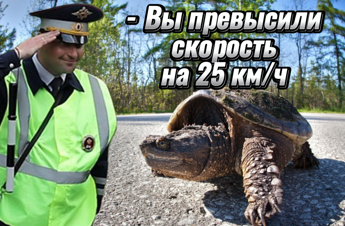 Ох уж эти рейды...