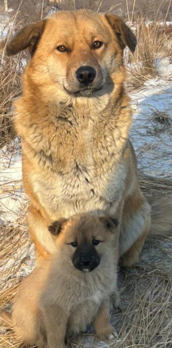 В её глазах вся её нелегкая жизнь…