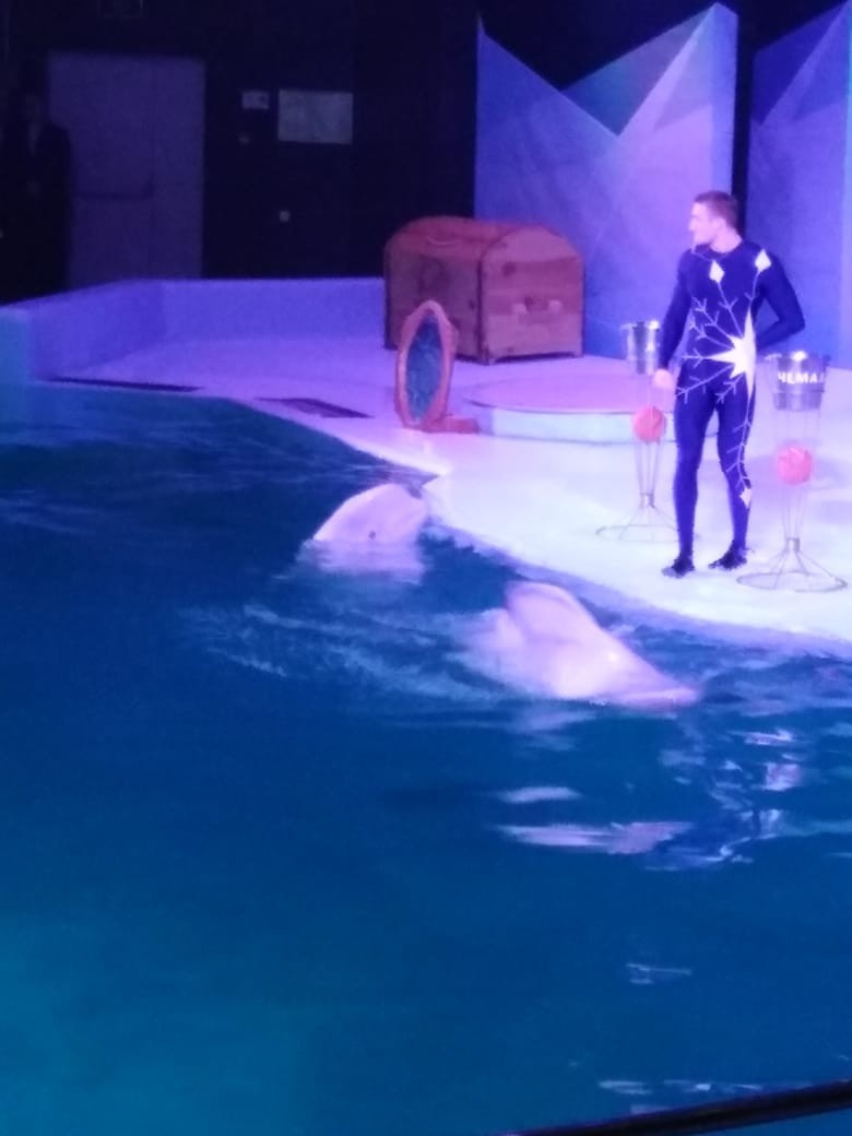 Фото пренадлежат автору. Прошу прощение за плохое качество