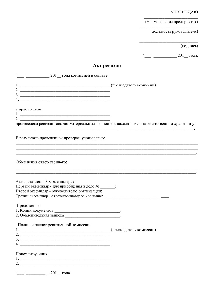 Акт ревизии