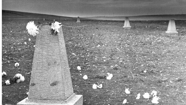    © Фото Ф. Дрозда, личный архив Н. Дремовой.