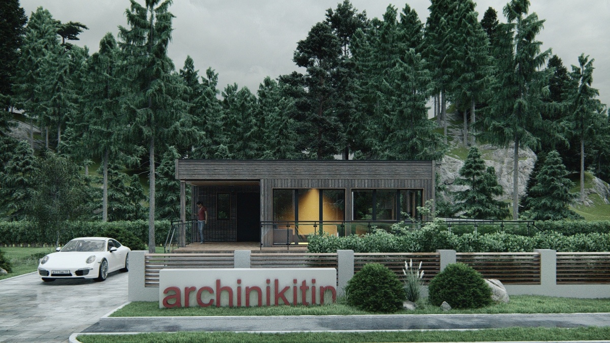 Перспектива Вид 1