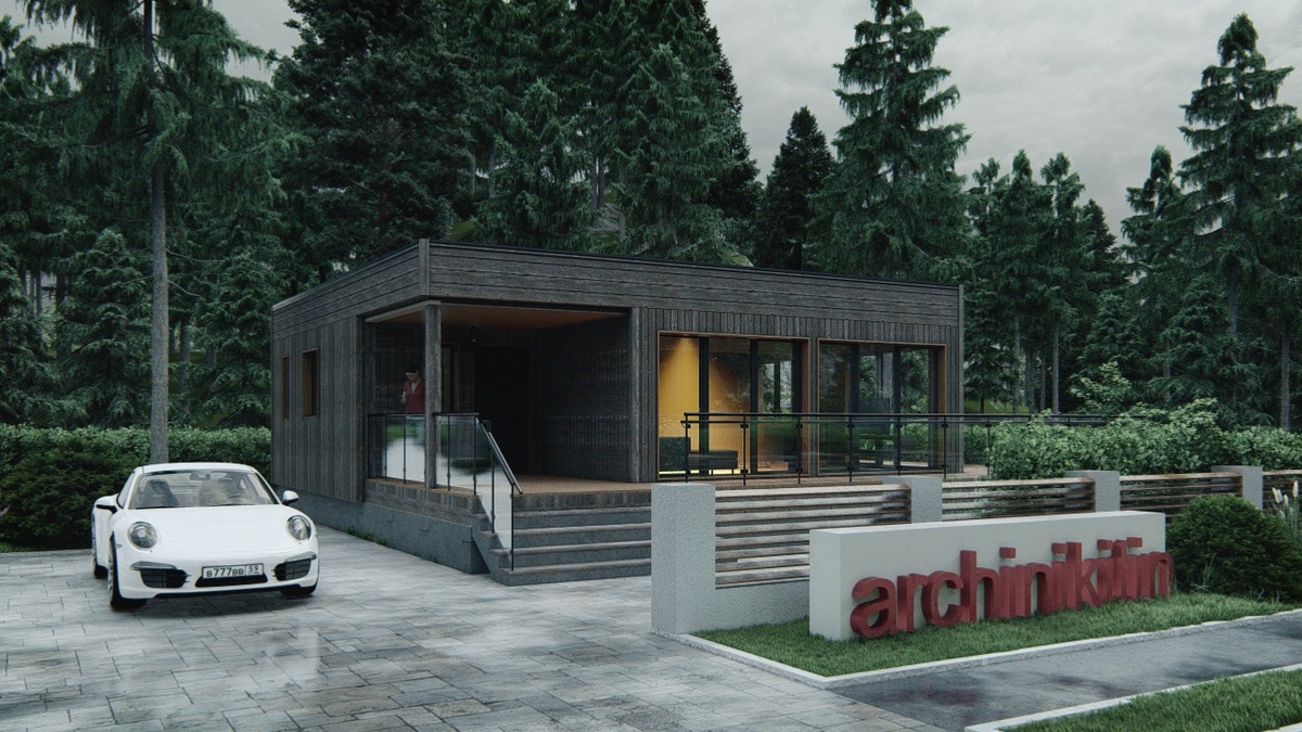 Перспектива Вид 2