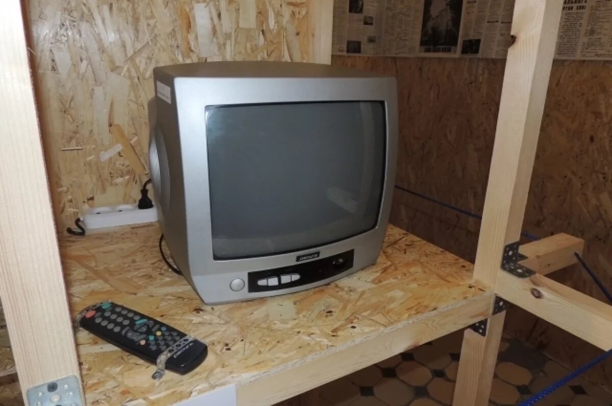    Житель Барнаула сам собрал телевизор, чтобы посмотреть прямую линию Путина