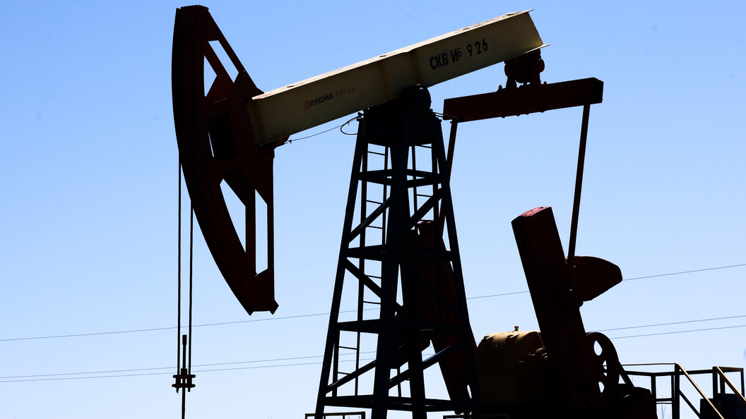    Фото: Elena Mayorova/Globallookpress