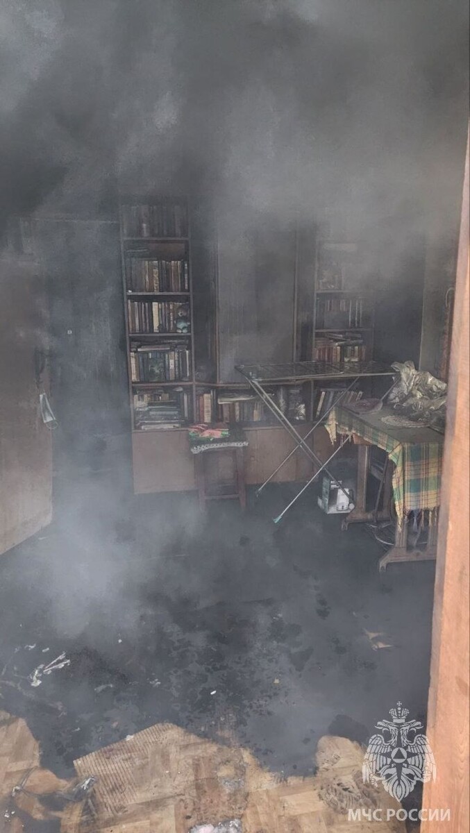    Пожар в переулке Революционный . Источник: t.me/mchs_altkray