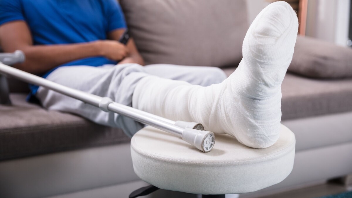 Фото из открытых источников интернета Яндекс.картинки