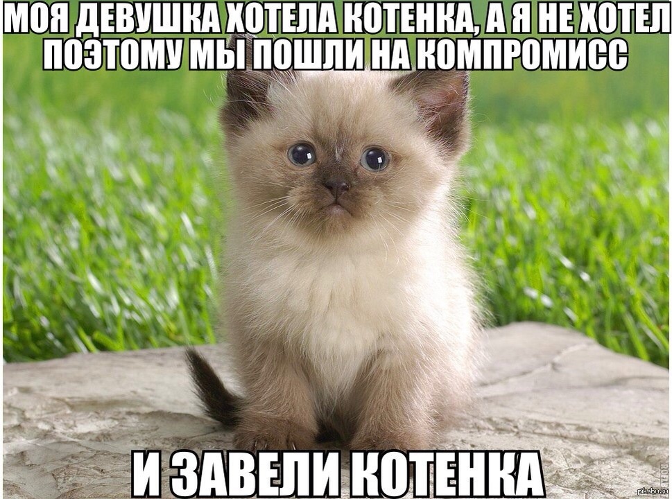 Примерно, так)) Картинка из открытых источников.