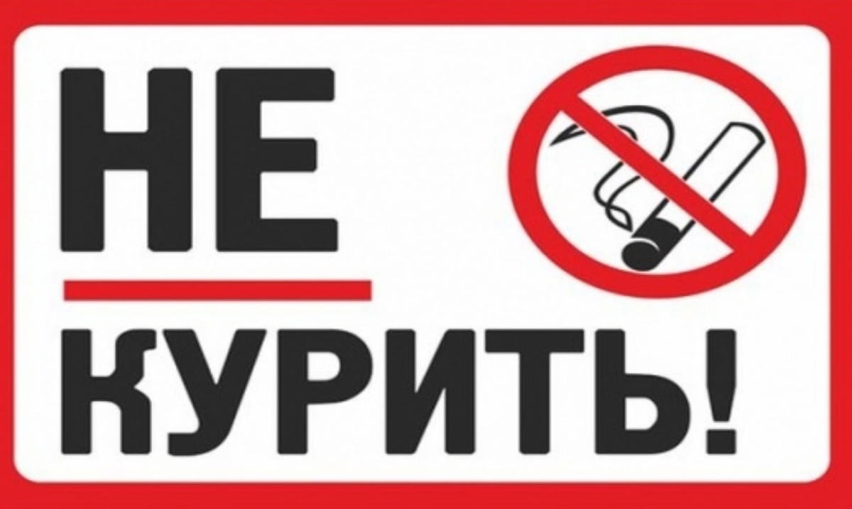 Фото с сайта Яндекса картинки