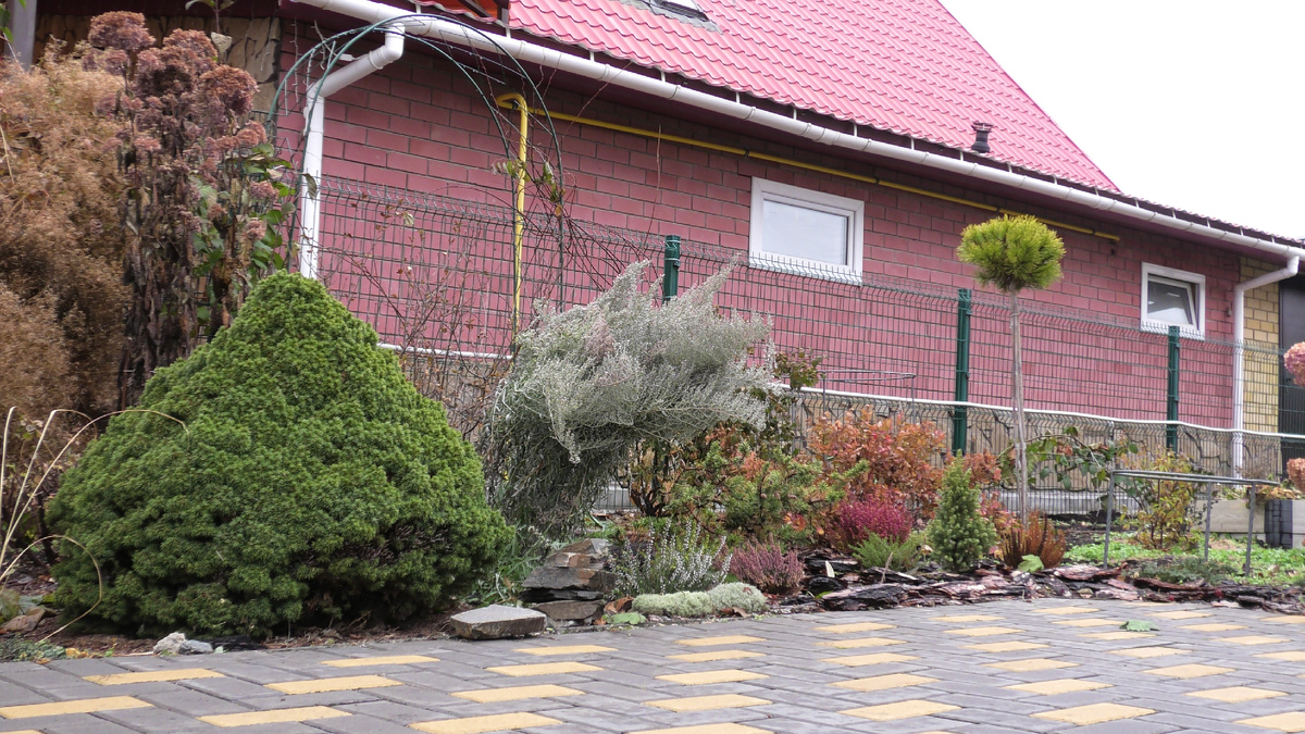 Фото из личного архива