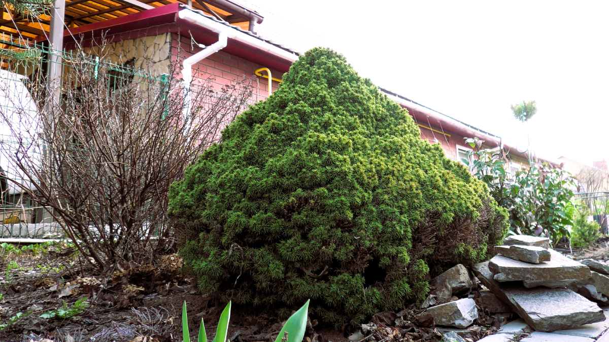 Фото из личного архива