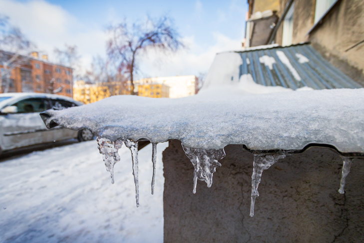    Фото Андрея Заржецкого