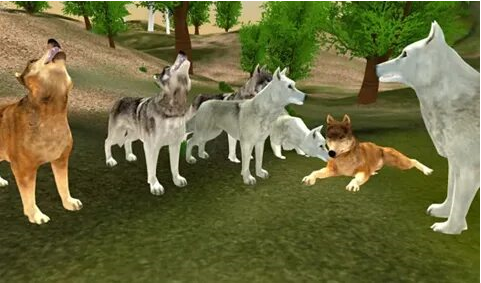                    картинка из интернета