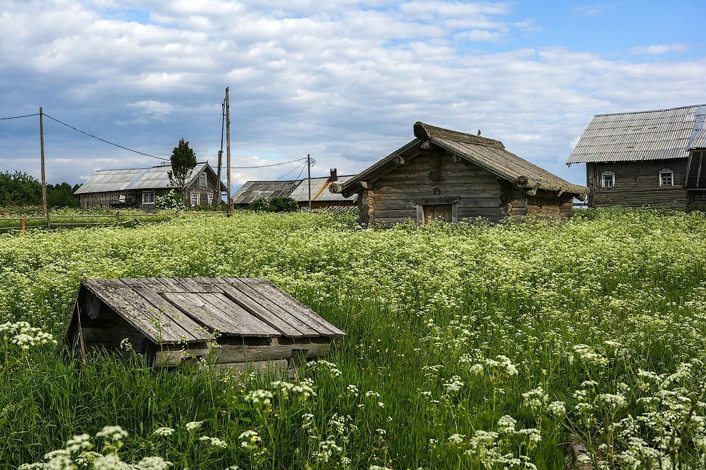 Кинерма летом