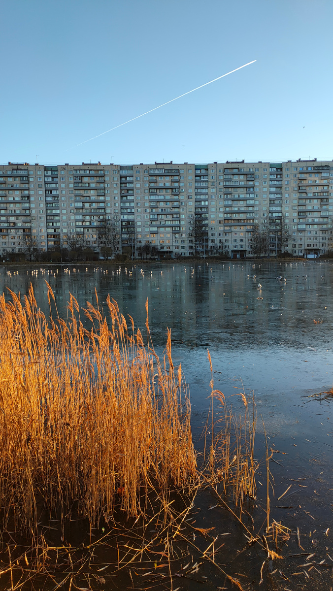 Фото автора 