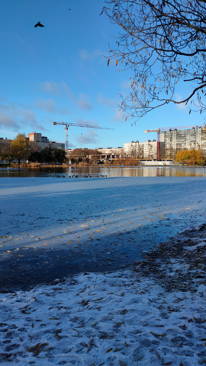 Фото автора 