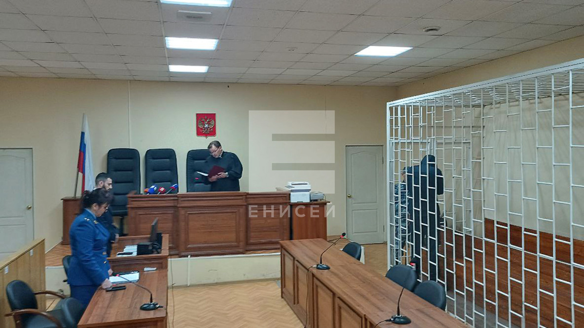     Надругавшегося над 9-летней девочкой красноярца приговорили к пожизненному заключению