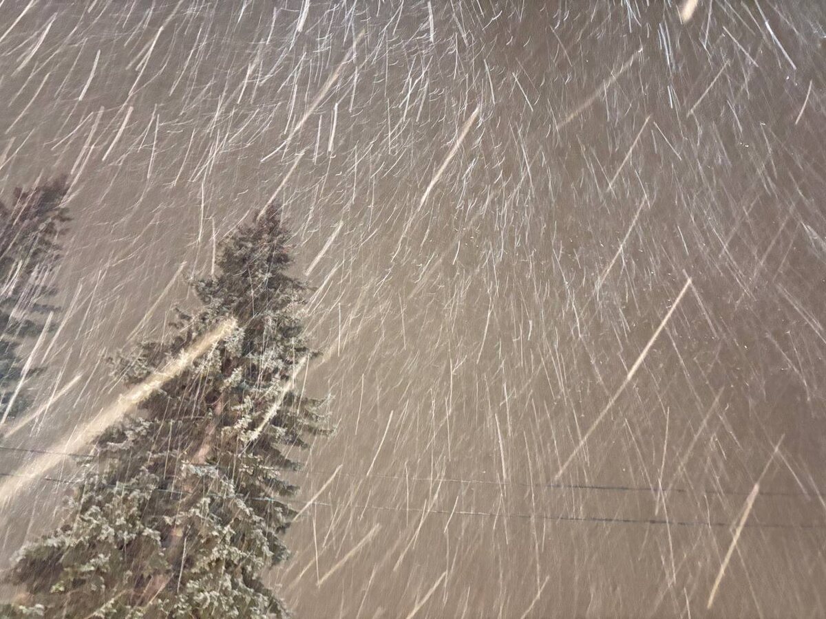 © Форпост Северо-Запад