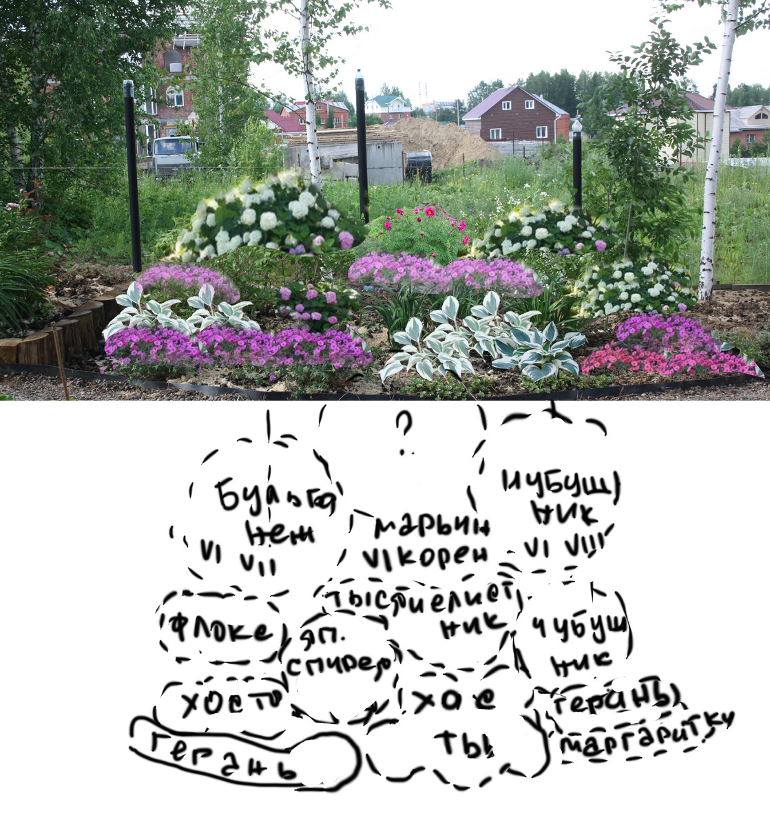 коллаж с расстановкой растений во фронтальном виде и на плане