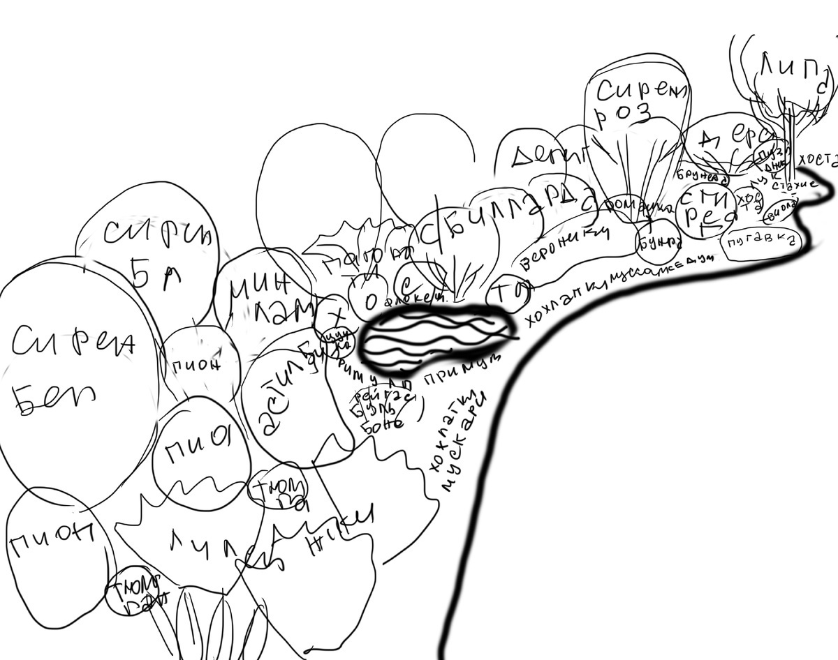 быстрый эскиз - попытка впихнуть все, что хотелось бы видеть на этом клочке участка