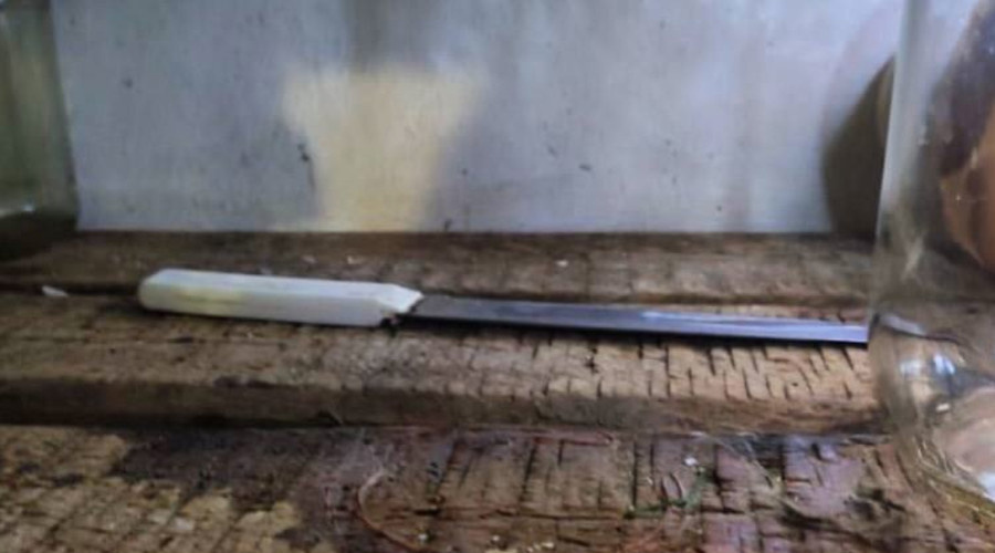    Фото: СУ СКР по Саратовской области