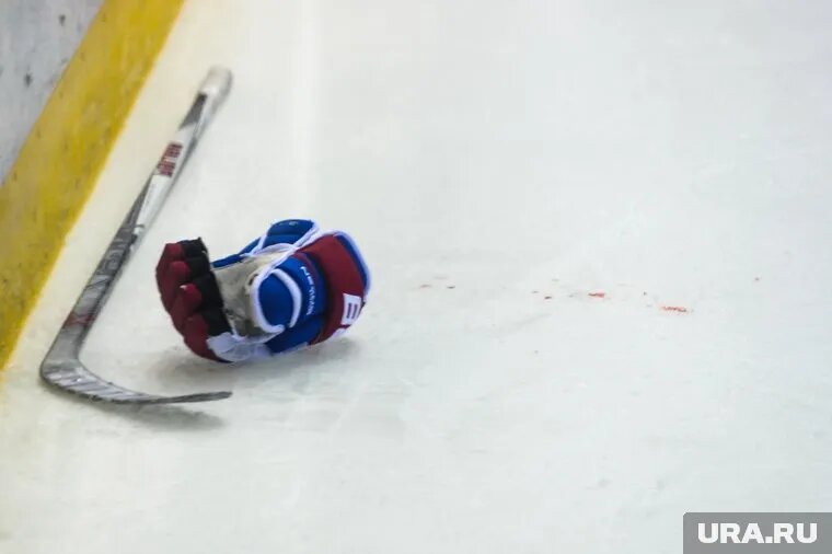 Хоккеист Матвей Мичков показал хорошие результаты в НХЛ. Фото: Вадим Ахметов © URA.RU