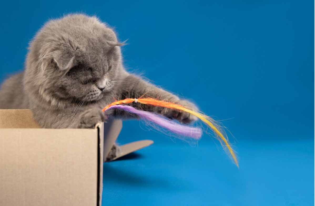 Изображение от freepik.