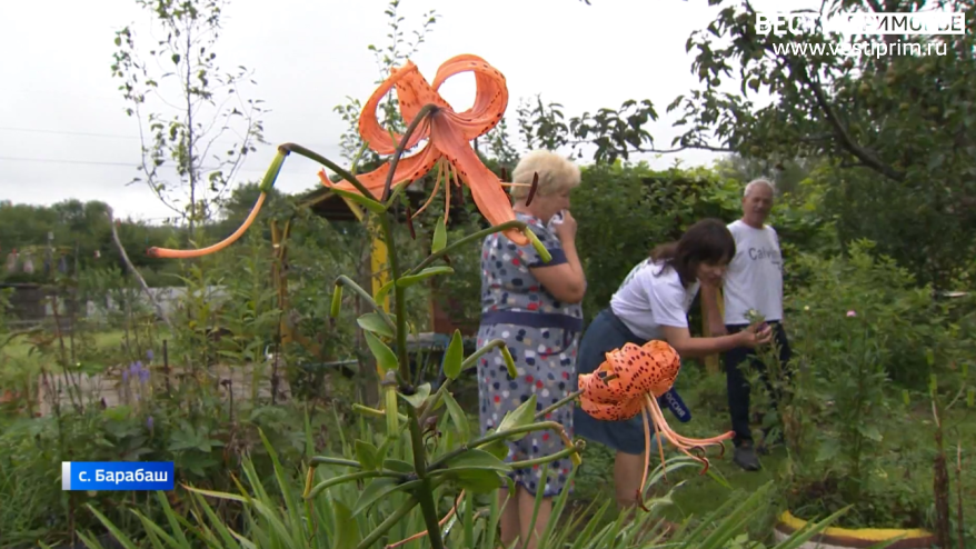    Источник фото: