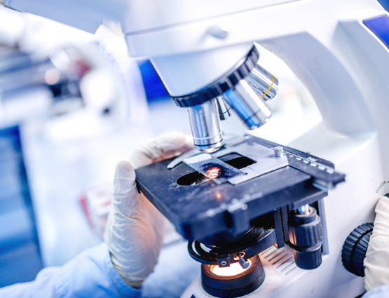 Спермограмма под микроскопом