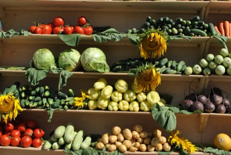 Иллюстрация фотобанка Ростовского отделения СЖР